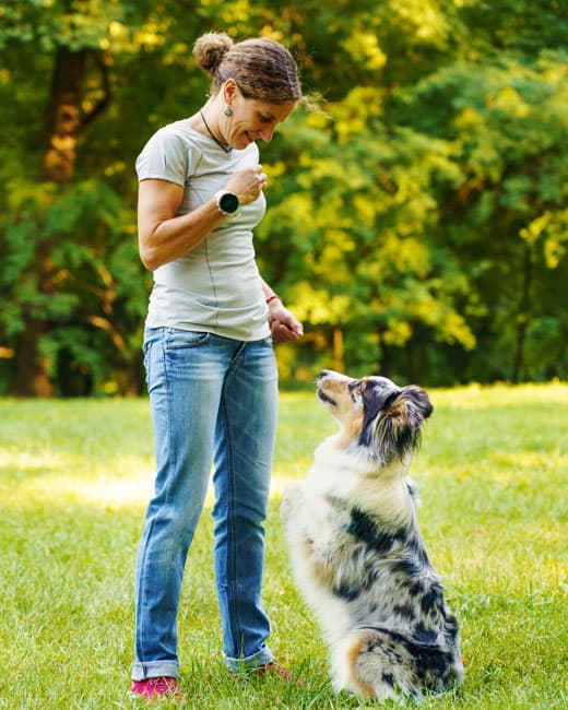 A woman, sharing treats with a well-behaved dog that has been trained well by Sit Happens, Denver.