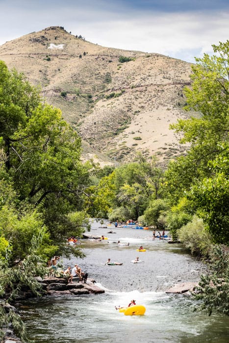 An image of a Clear Creek in Thornton, Colorado. Lots of beautiful greenery for activities and dog training!
