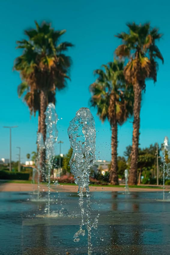 A lovely dog park for dog training in Denver
