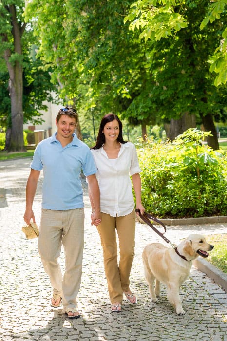 Parents walking their dog calmly after hiring a dog trainer in Denver, CO.